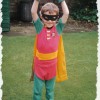 1994 Robin 1994 Robin